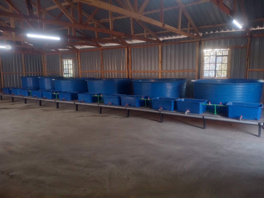 Mutonga Centre fish hatchery