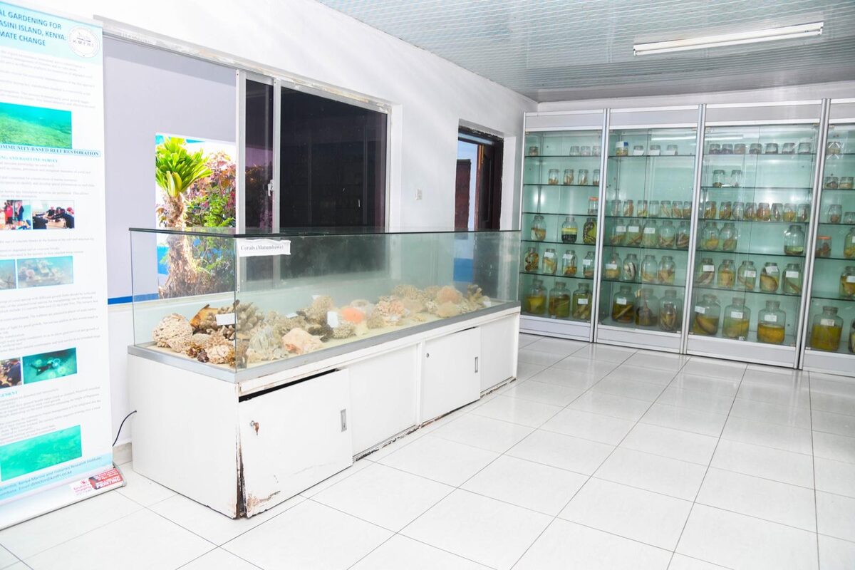 Interpretive panels and specimen cases in the KMFRI Marine Museum